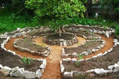 Infrumusetarea motive școlare, plantarea de un site școală (site-ul) Infrumusetarea motive școlare, plantarea unui sit de școală