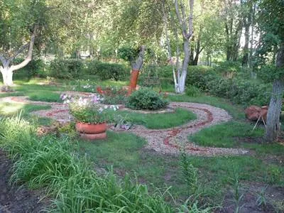 Infrumusetarea motive școlare, plantarea de un site școală (amenajare a teritoriului) Infrumusetarea motive școlare, plantarea unui sit de școală
