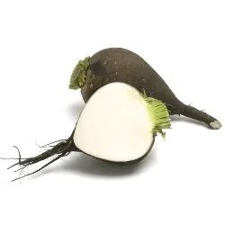Bronsita la copii