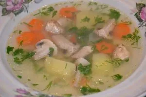 Boli ale stomacului și a cauzelor simptomelor, diagnostic, tratament, dieta, medicamente, plante aromatice, prevenirea