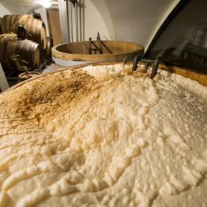 rău Braga, rețete, soiuri de băuturi, produse alimentare și de sănătate (a pus un loc cald) rău Braga, rețete, soiuri de băuturi, produse alimentare și de sănătate