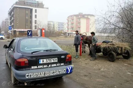 bulgară