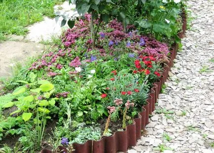 Paturi Fileuri bandă frumoase elemente tăiate pentru grădină (horticultură) bandă bordure paturi elemente de gradina frumos cadru