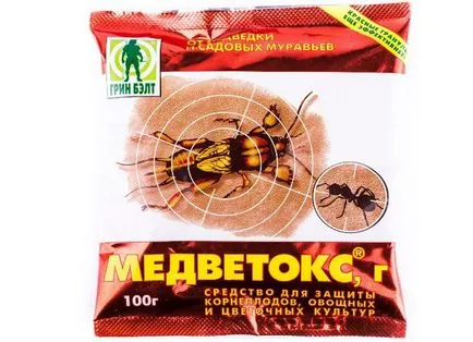 Lupta împotriva Medvedkov, grădină - semne, metode