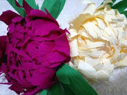 flori mari de hârtie pentru a decora sala cu clearance-ul mâinile, pampoane volumul său și atelier de lucru (înregistrare) flori mari de hârtie pentru a decora sala cu clearance-ul mâinile, pampoane volumul său și master-class