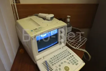 urinare frecventă la pisici - cauze urinare frecventă la pisici