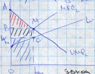 Constrângerea bugetară a companiei