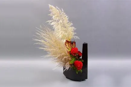 Celosia cultivarea pieptene, îngrijire și utilizare (celosia) Celosia o cultivare pieptene, îngrijire și utilizare a