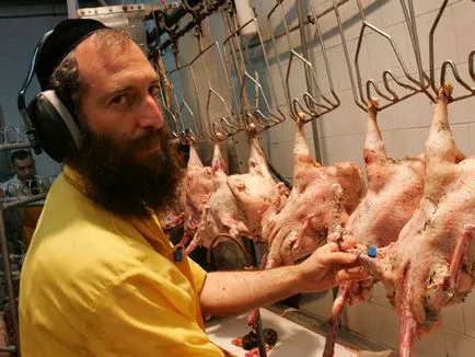 Ceea ce deosebește carnea halal de la cușer bucătăria noastră - rețete simple pentru toată lumea