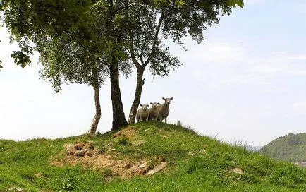 Muntenegru - vacanta, meteo, recenzii, fotografii