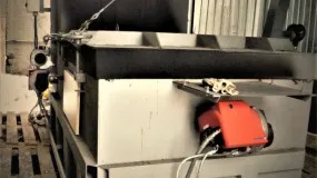 Ce se întâmplă dacă câinele a murit
