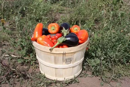 Ce se întâmplă dacă mama nu mă înțelege deloc