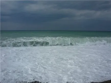 Ce ar trebui să fac în cazul în care valul poartă în mare cum să înoate în mare (valul mării ucide) Ce ar trebui să fac în cazul în care valul poartă în mare cum să înoate în mare
