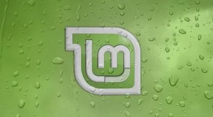Ce Linux sau Windows mai bine un feedback onest
