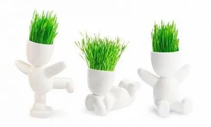 Ce se poate face o persoana pentru mediu (ecologie) Ce se poate face o persoană pentru mediu
