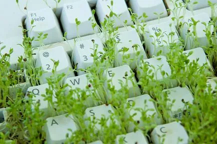 Ce se poate face de la vechea tastatură Digest Mediu