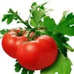 Că ce pot fi plantate în seră care legume culturi (plante) Că ceea ce poate fi plantate în seră care legumele, Cultura