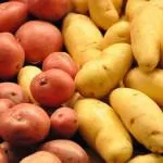 Că ce pot fi plantate în seră care legume culturi (plante) Că ceea ce poate fi plantate în seră care legumele, Cultura