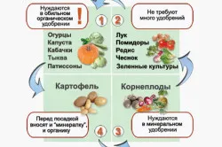 Ce a planta în plantarea sera mixt