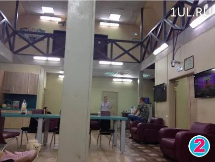 Ce se întâmplă în interiorul casei 2