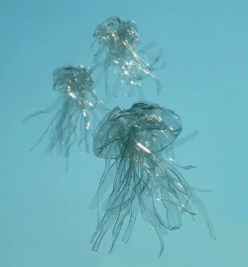 Ce să facă din sticle de plastic - 14 idei interesante!