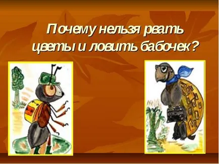De ce nu pot prinde fluturi în lunca