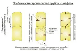Care este utilizarea de pistol-transport în construcția tehnologiei norvegiene (utilizarea) Care este utilizarea de pistol-transport în construcția tehnologiei norvegiene