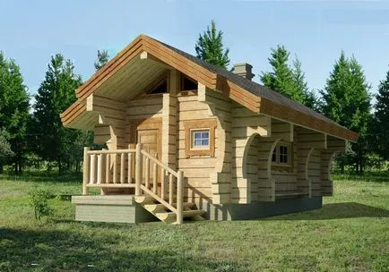 Ce este casa transportul de argumente pro și contra mastocite fotografie