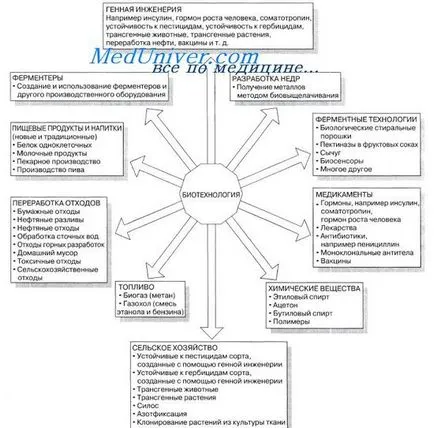 Ce este ceea ce microbiologie biotehnologie