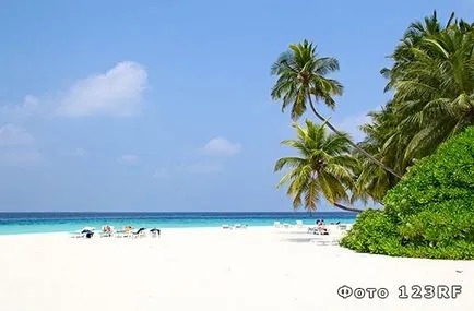 Ce este tropicale si subtropicale