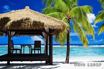 Ce este tropicale si subtropicale