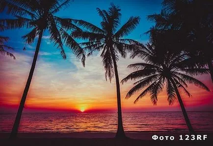 Ce este tropicale si subtropicale