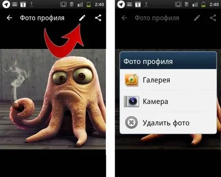 Ce este vatsap (WhatsApp), leephone