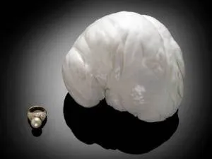 Ce este o perla, bijutier