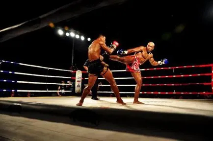 Ce a alege box sau Thai box diferențe, reguli, pro și contra