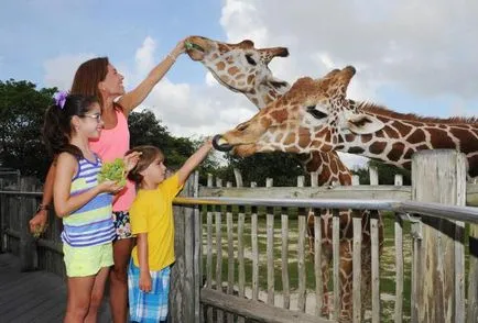 Care este caracteristicile grădina zoologică (șapte zile pe săptămână) Care este caracteristicile grădina zoologică