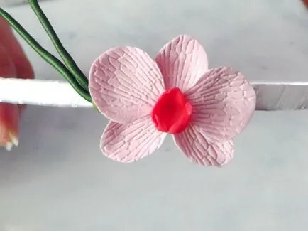 Flori dintr-un porțelan rece cu mâinile lor (pas cu pas fotografie) (din flori de porțelan rece, cu propriile sale mâini) Flori dintr-un porțelan rece cu mâinile lor (pas cu pas fotografii)
