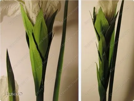 Florile din lunno hârtie creponată cusătoreasă (crep) Florile din lunno crep de hârtie cusătoreasă