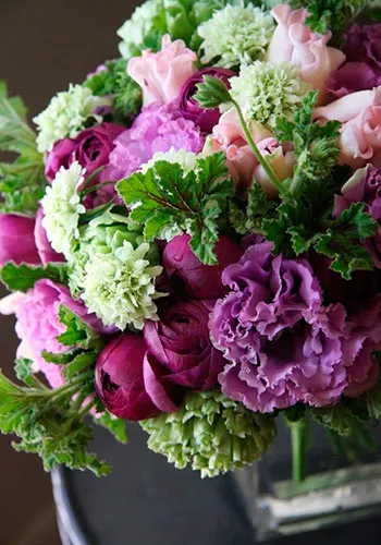 Flower Eustoma fotografie și descrierea condițiilor de creștere