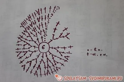 Blooming cârlig cactus, master-class cu propriile lor mâini