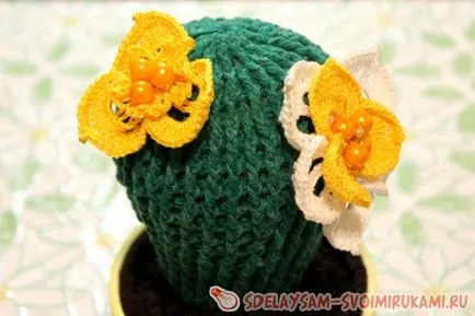 Blooming cârlig cactus, master-class cu propriile lor mâini