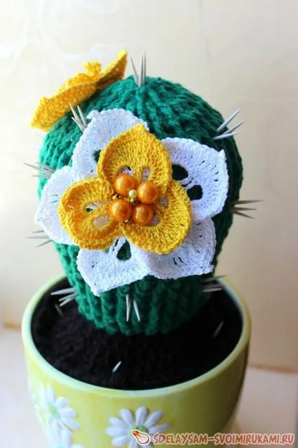 Blooming cârlig cactus, master-class cu propriile lor mâini