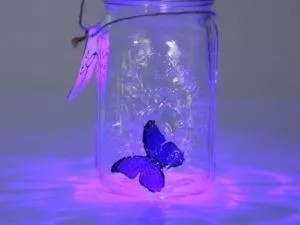 Asigurați-o lumina de noapte cu mâinile, cu fotografii și video clare
