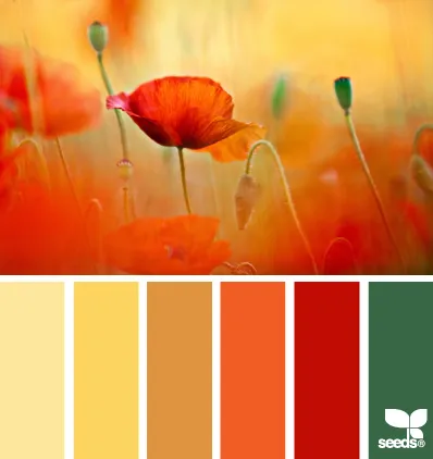 decorative încă de viață