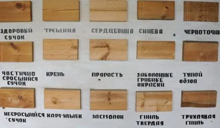 Lemn pentru construirea casei - o trecere în revistă a materialelor de constructii, poweredhouse
