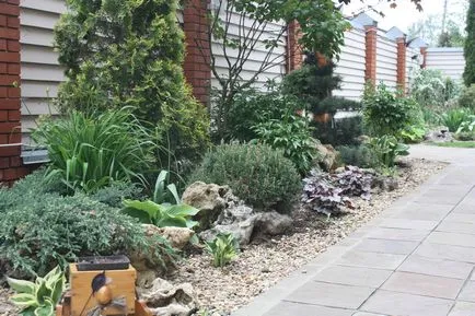 arbuști ornamentali pentru grădină, design peisagistic de grădină diferite compoziții de copaci,