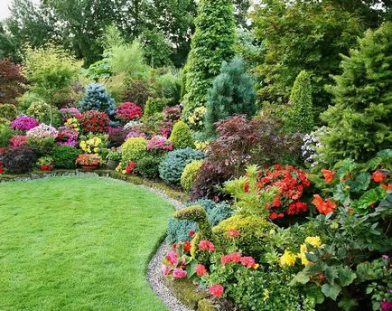 arbuști ornamentali pentru grădină, design peisagistic de grădină diferite compoziții de copaci,
