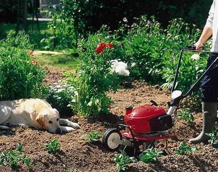 De ce am nevoie de un cultivator (Ce este cultivatorul) De ce am nevoie de un cultivator