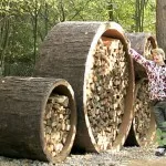 Woodshed în țară cu mâinile lor fotografii, desene, vizualizări