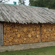 Woodshed în țară cu mâinile lor pe o fotografie și cum să construiască un sopron
